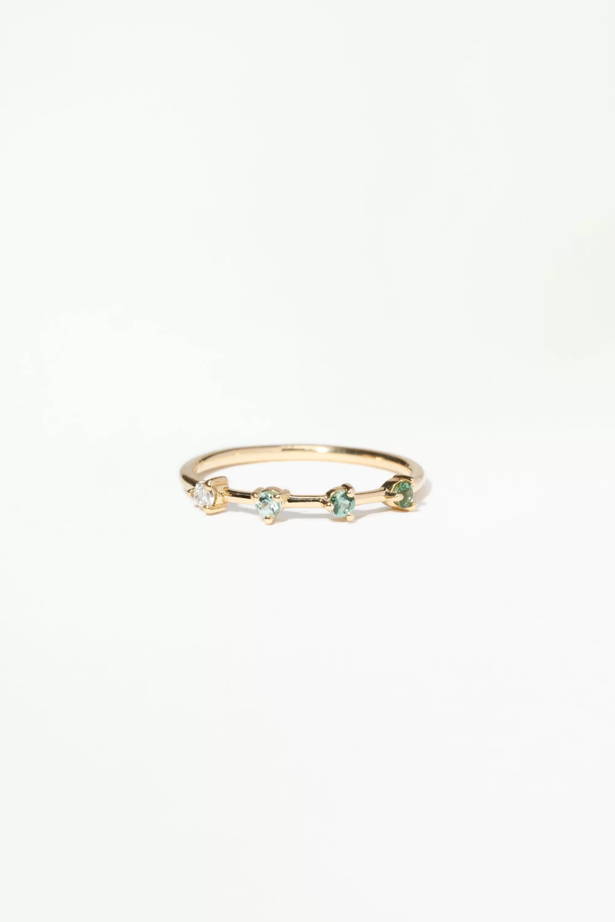 Online Botany Four-Step Gradient Ring Rings