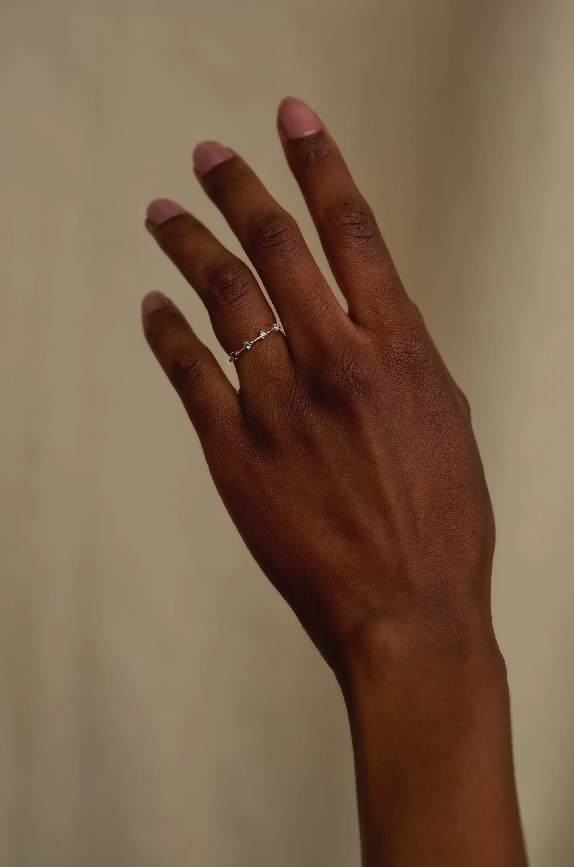 Online Botany Four-Step Gradient Ring Rings