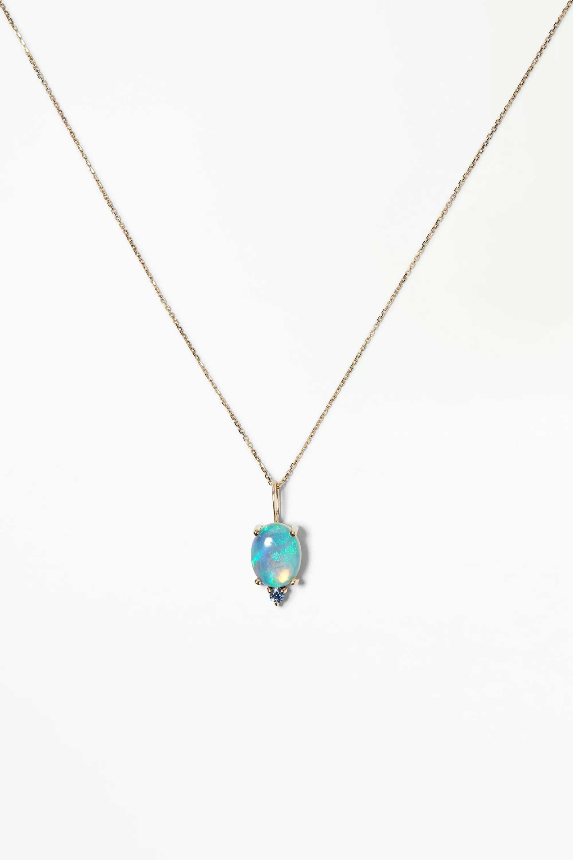Shop Large Duo Charm Necklaces